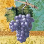 Grape antiqua blue